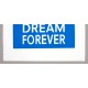 Dream Forever Gravure sur bois de Damien Poulain signature