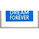 Dream Forever