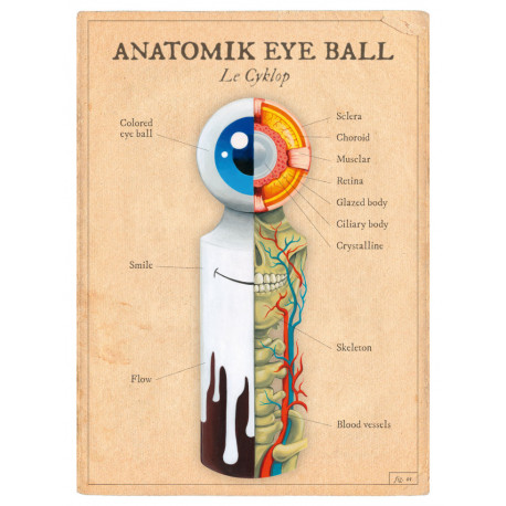 ANATOMIK EYE BALL / Le Cyklop