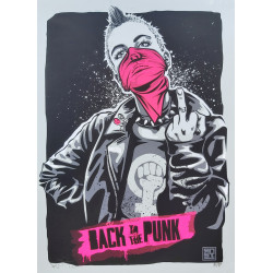 BACK TO THE PUNK de RNST