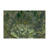 MARSH (70x100 cm)
