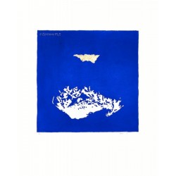 Jean-Paul Agosti / Orphée N°1