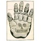 Hervé Di Rosa / La mano