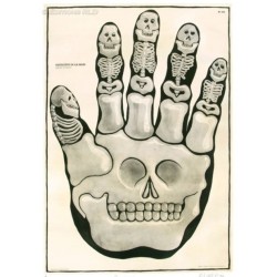 Hervé Di Rosa / La mano