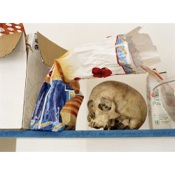 Skull & Bread