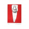 DENT N°26
